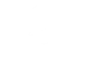 Bonobo